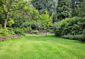 Optimiser l'expérience du jardin à Douvrend